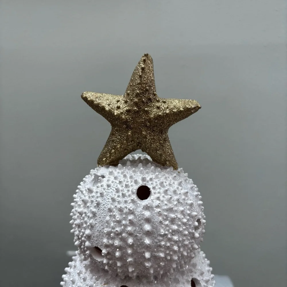 Coastal Shell Christmas Tree Gold Star Lights Up